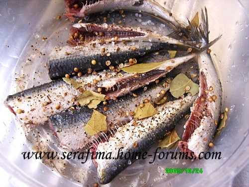 Тут намедни сардины мороженые нашла