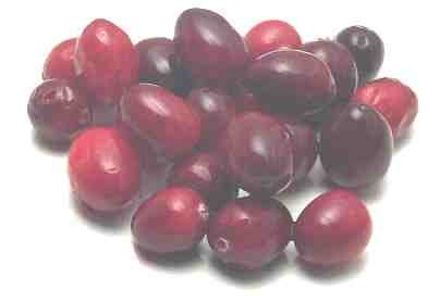 Клюква (cranberry = bounceberry) Поздняя ягода с кислым вкусом, хороша для соусов Смородина (curran...