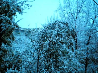 В Ташкент пришла зима, идет снег, с крыш течет, пацаны предвкушают "мылить девчонок"