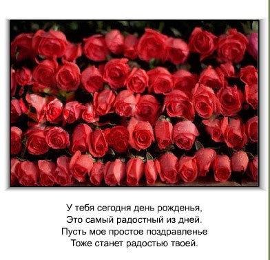 СВЕТА с днем рождения