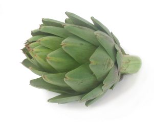 (artichoke = globe artichoke )        , ...