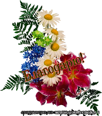 благодарность