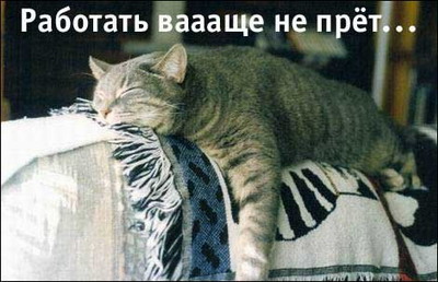 Пасиб, но не люблюууу