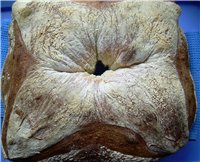 БУЛКИ,СДОБА,ХАЛА, КЕЙК ШОКОЛАДНЫЙ КЕКС С БЕЛОЙ ШAПКОЙ ФРАНЦУЗСКИЕ ЗАКУСОЧНЫЕ БУЛОЧКИ ХРУСТЯЩИЕ ЗЕРН... - 6