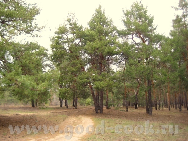 ,   () -    ,       ... - 2