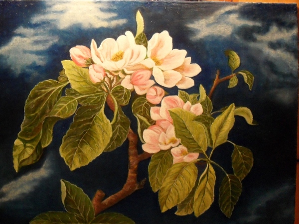 Мои картины -обе масло, 30*40