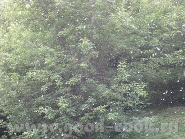 Привет, девулечки - 2
