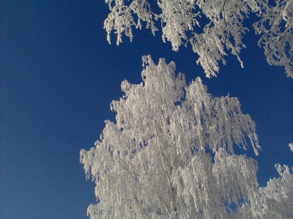 С Рождеством - 7