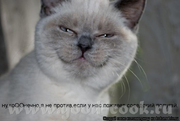 И ещё вопрос