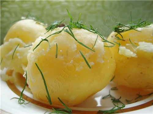 Печень с луком и паприкой + свежая картошечка 500 гр - 2
