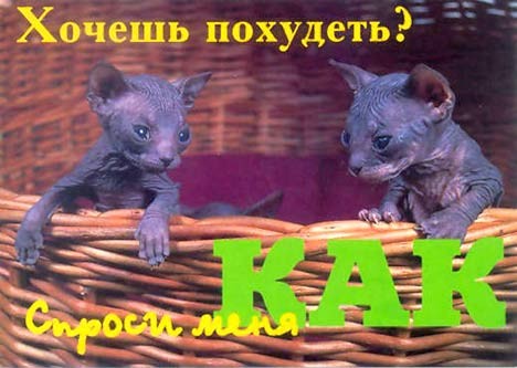 Добро пожаловать