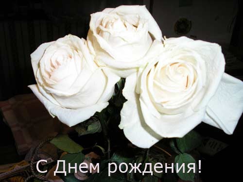 С днем рождения, дорогая, возвращайся