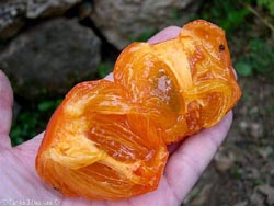 у меня дома стоит хурма (мягкая,вот такая а также хурма Королёк вот такая может варенье есть какое-...