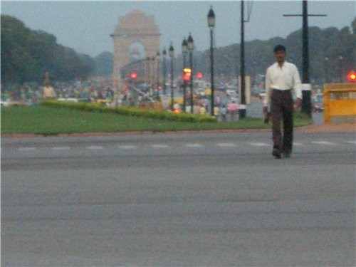 фотография из центра дели, вдалеке видно триумфальную арку (indian gate) тут на крыше видна обезьян...