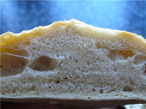     Artisan Bread in Five Minutes