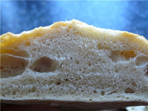Хлеб за пять минут или Artisan Bread in Five Minutes