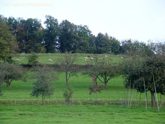Видите, небо розовеет - 2