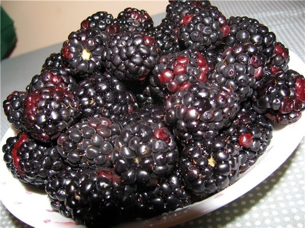 Девы, я вам принесла ягодок вку-у-усных, угощайтеся: Blackberry Это был мой обед вчерашний, обожаю...