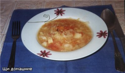 Традиционный грибной суп с перловкой <a href=&#39; target=&#39;_blank&#39;> </a> Щи домашние <a hre... - 2