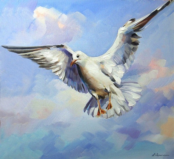  -  -----------------------------------------   -  ... - 5