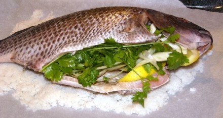  -    ,      (      ...