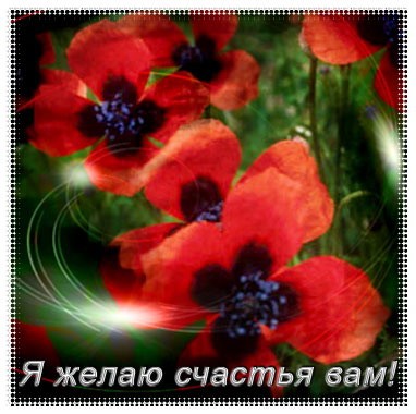 Всем-привет