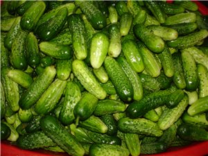Ой, глюк Это наш вчерашний дачный ,, улов ,, - 2