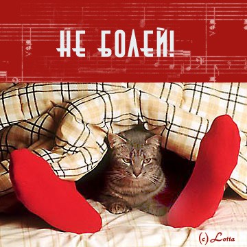 Ты была слишком самоуверенной,когда шла по трубам да ещё и снег,ну ты даёшь,надо быть поосторожней