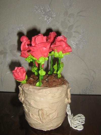 Kosandra , какие чудные розочки
