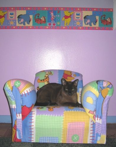 Мы купили маленькое детское кресло под цвет бордюра Так кот его уже оприходовал