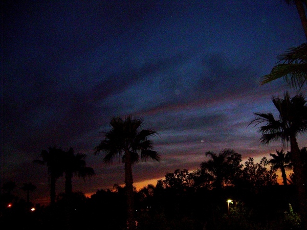 Хочу еше вам показать немного Калифорнийского неба, очень красивого с необычными оттенками синевы - 6