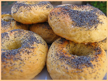 Bread Machine Bagels