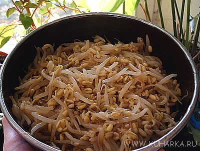Наконец-то форум работает Как вкусненько у вас - 2