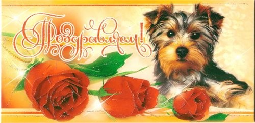 Неллик