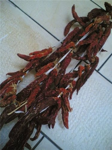 перец сушёный на солнце Ну вот, это первый овощ ,который я высушила на солнце