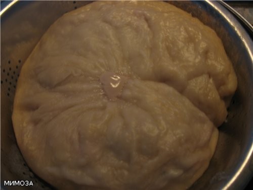Несу СПАСИБО БОЛЬШОЕ Танюшке- за паровой мясной рулет с тыквой - обалденно вкусно, просто и полезно