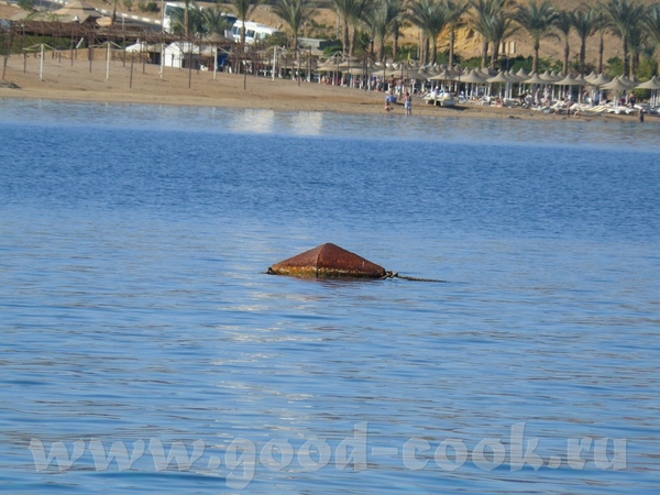       , Sharm el Sheikh - 4