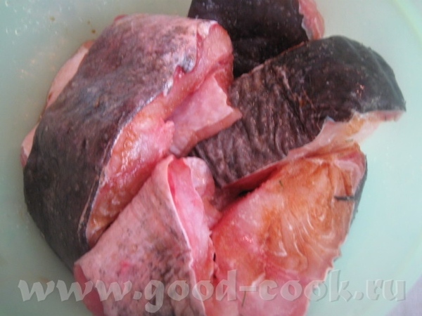 ЖАРЕНЫЙ СОМ ПОД ОРЕХОВЫМ СОУСОМ Сом, конечно, такая рыба, которую трудно чем-либо испортить, а вот... - 3