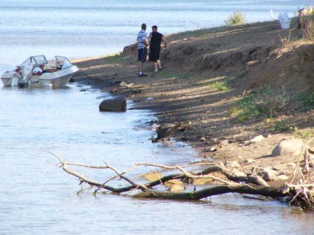 У нас водных мотоциклов пока нет, мы просто общались Наблюдали за дикой природой - 3