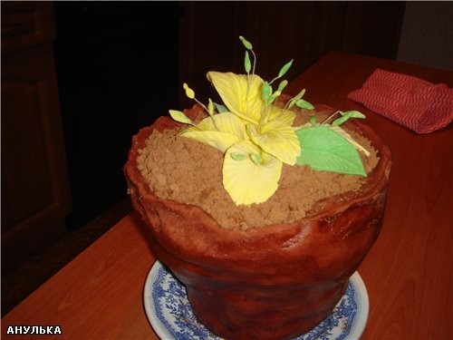    (   ,      )   ,   ...