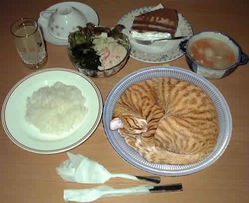 девочки,угощайтесь, кому не хватило лягушачьих лапок