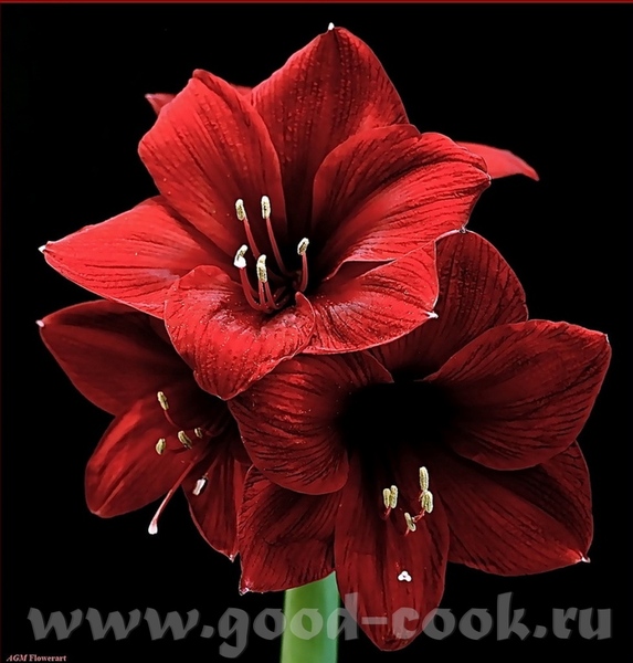 вот моя новая модель