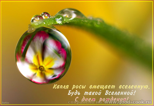 открытка