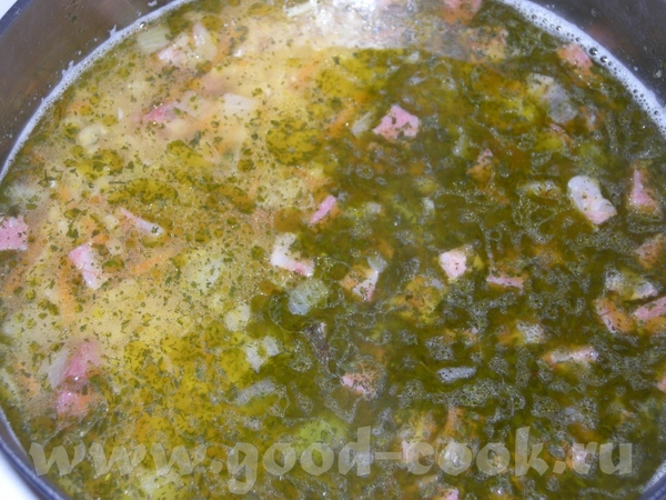 Котик славный