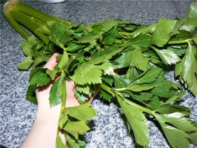 Женьчик, у тебя тоже линейка класная , мысленно мы все с тобой - 2