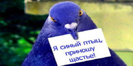 Не вышло с первого раза