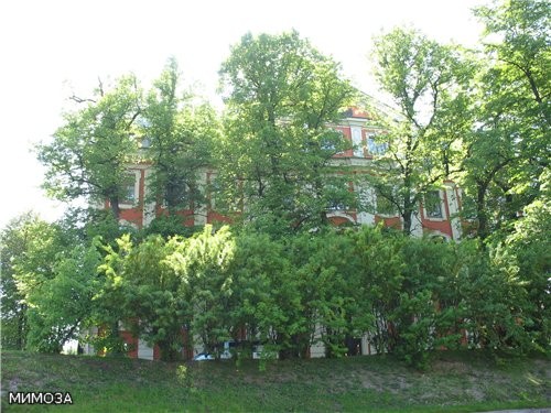 Это здание около Спаса-на-крови