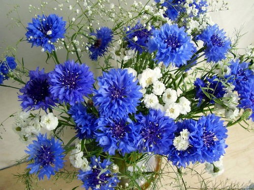 Nadejda, Aysel, Nurgul, Нато, Kantur, MITY95, HELENKA38, Бастинда, sobs, с днём рождения