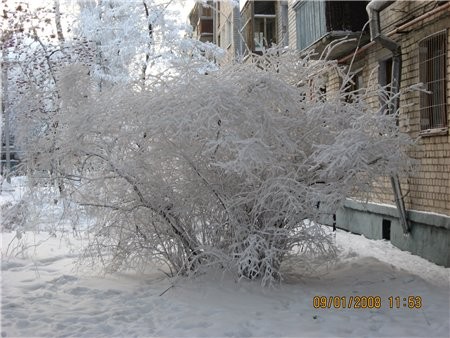 Девчонки - 2