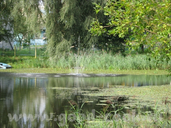 В лес мы едем через городок Логойск, 30 км от Минска - 7